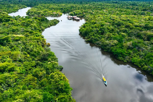 Amazonas